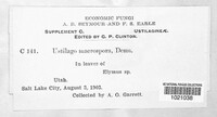 Image Associated With the Occurrence
